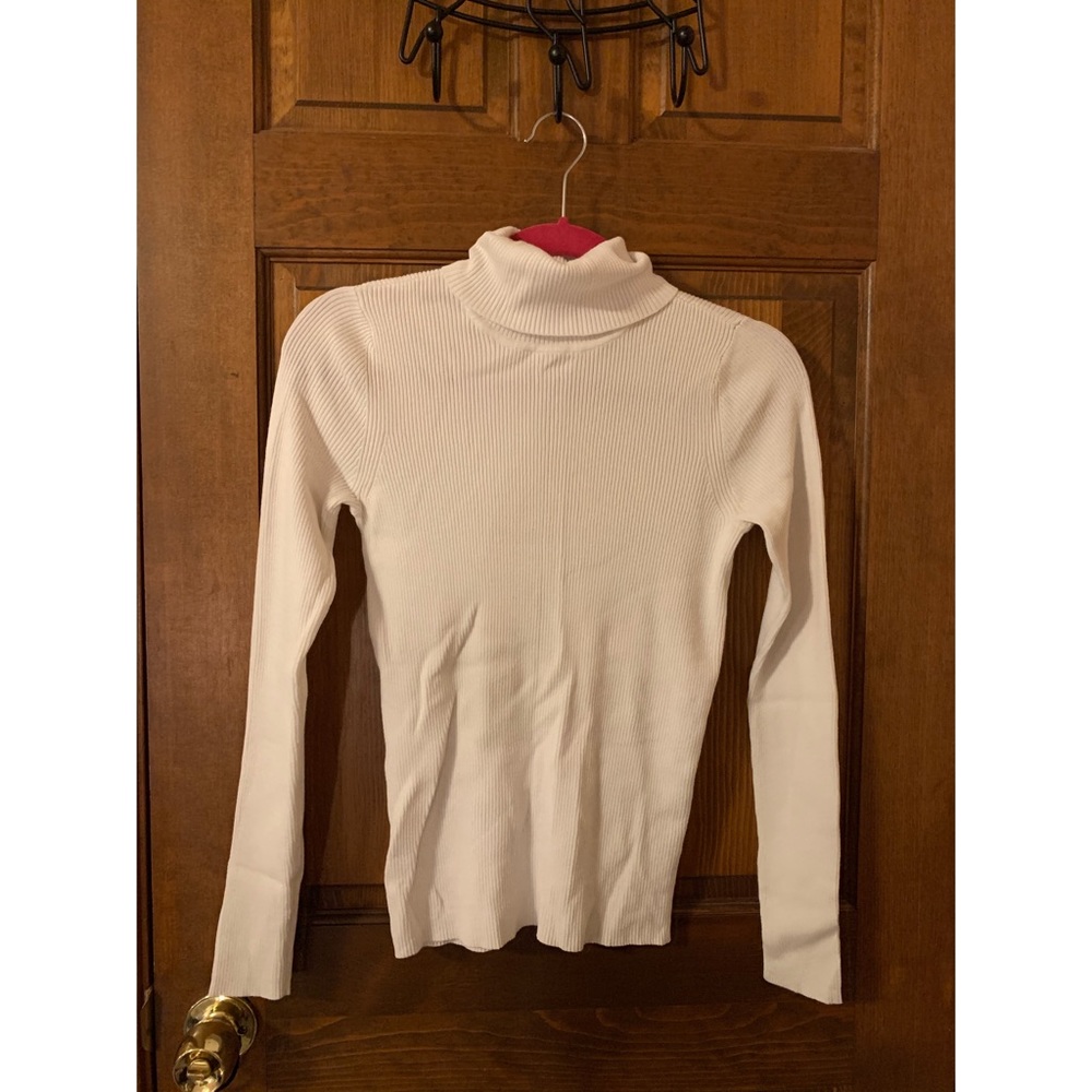 the limited turtleneck